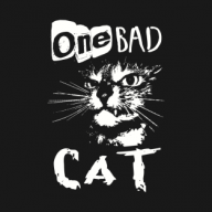 BadCat13